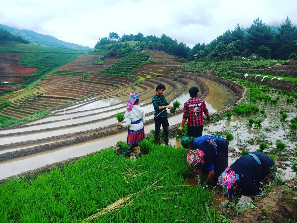 Mu Cang Chai Big View Homestay, Tour & Vegetarian المظهر الخارجي الصورة