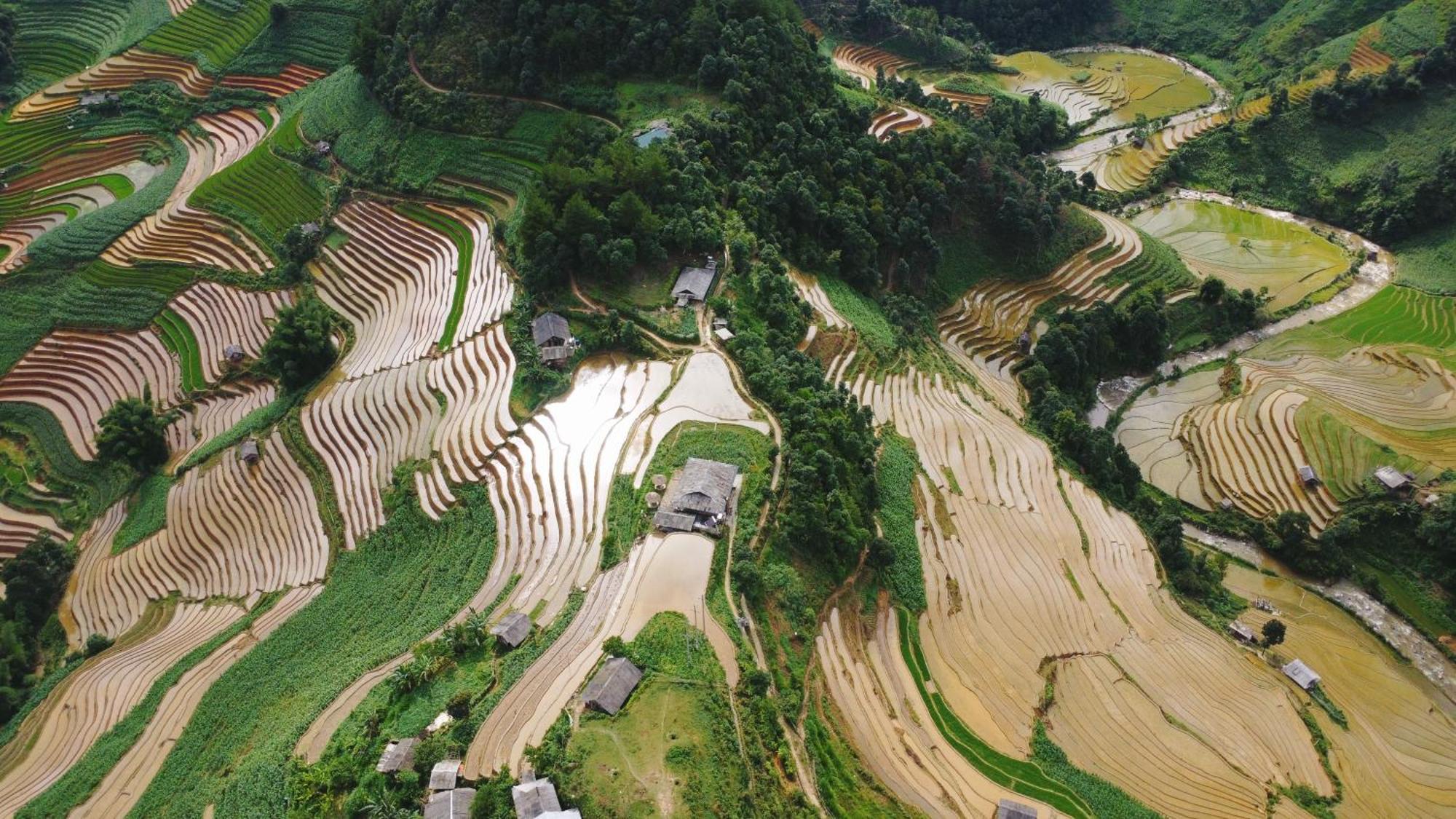 Mu Cang Chai Big View Homestay, Tour & Vegetarian المظهر الخارجي الصورة